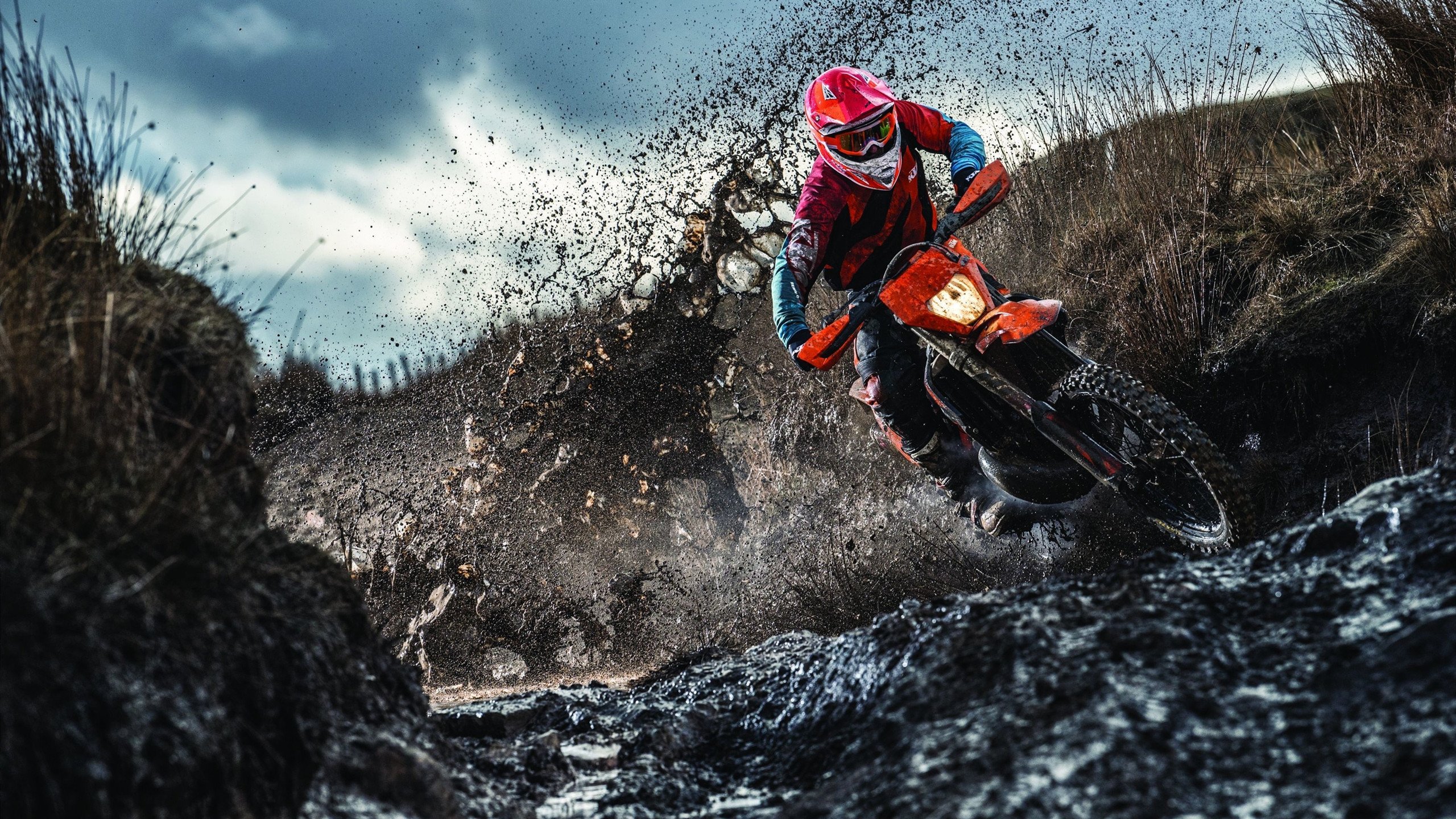美国主场龙属性尽显，核心球星成世预赛胜负手